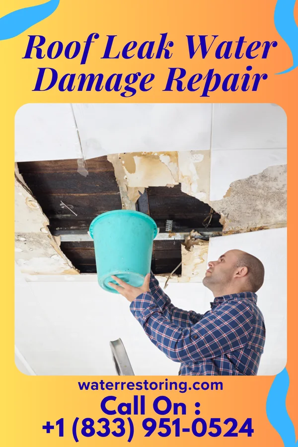 Roof Leak Water Damage Repair in Rittman, OH