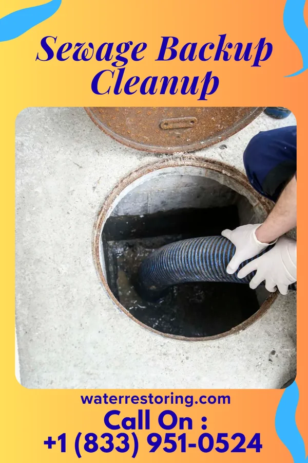 Sewage Backup Cleanup in Rittman, OH